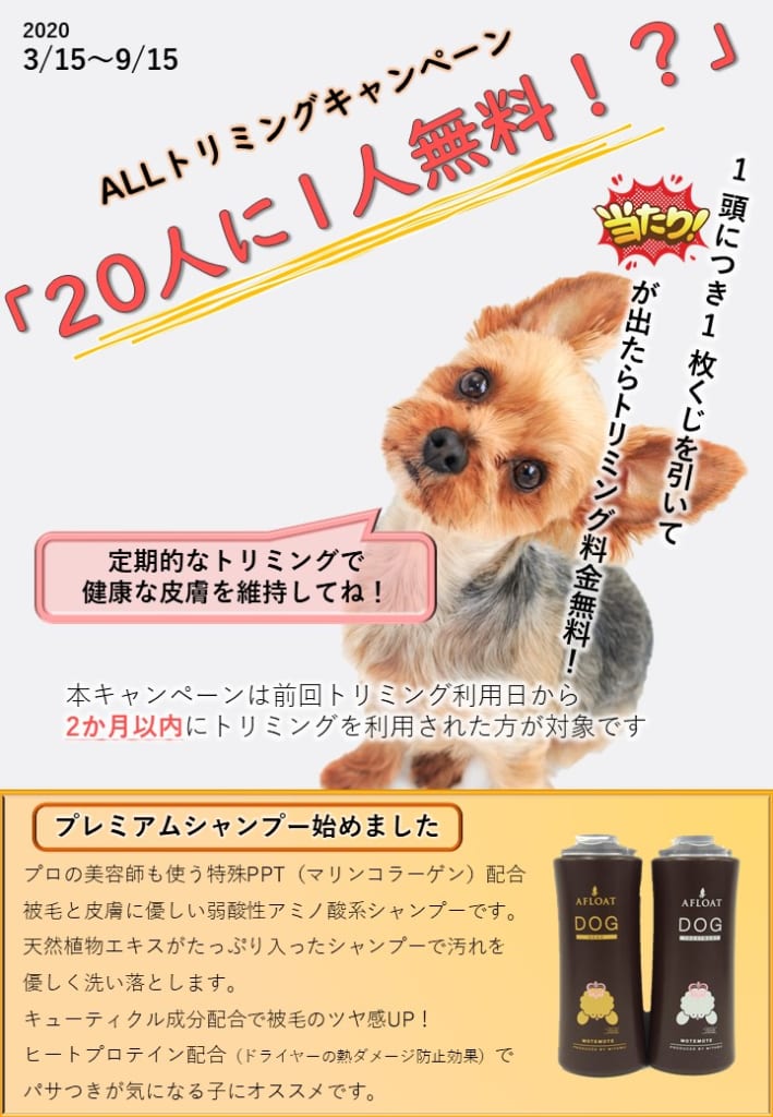 ALLトリミングキャンペーン